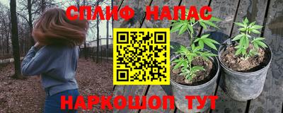 гашик Апрелевка