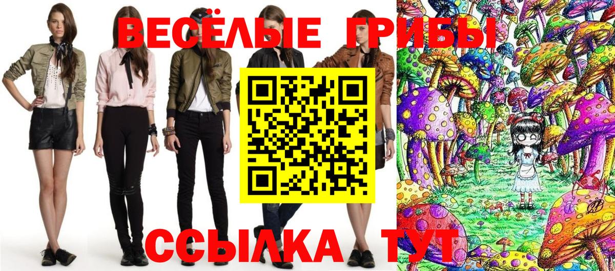 цена наркотик  Псилоцибиновые грибы мицелий  Искитим  Вход с VPN  Галлюциногенные грибы Cubensis 
